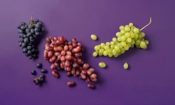 Olympic Fruit