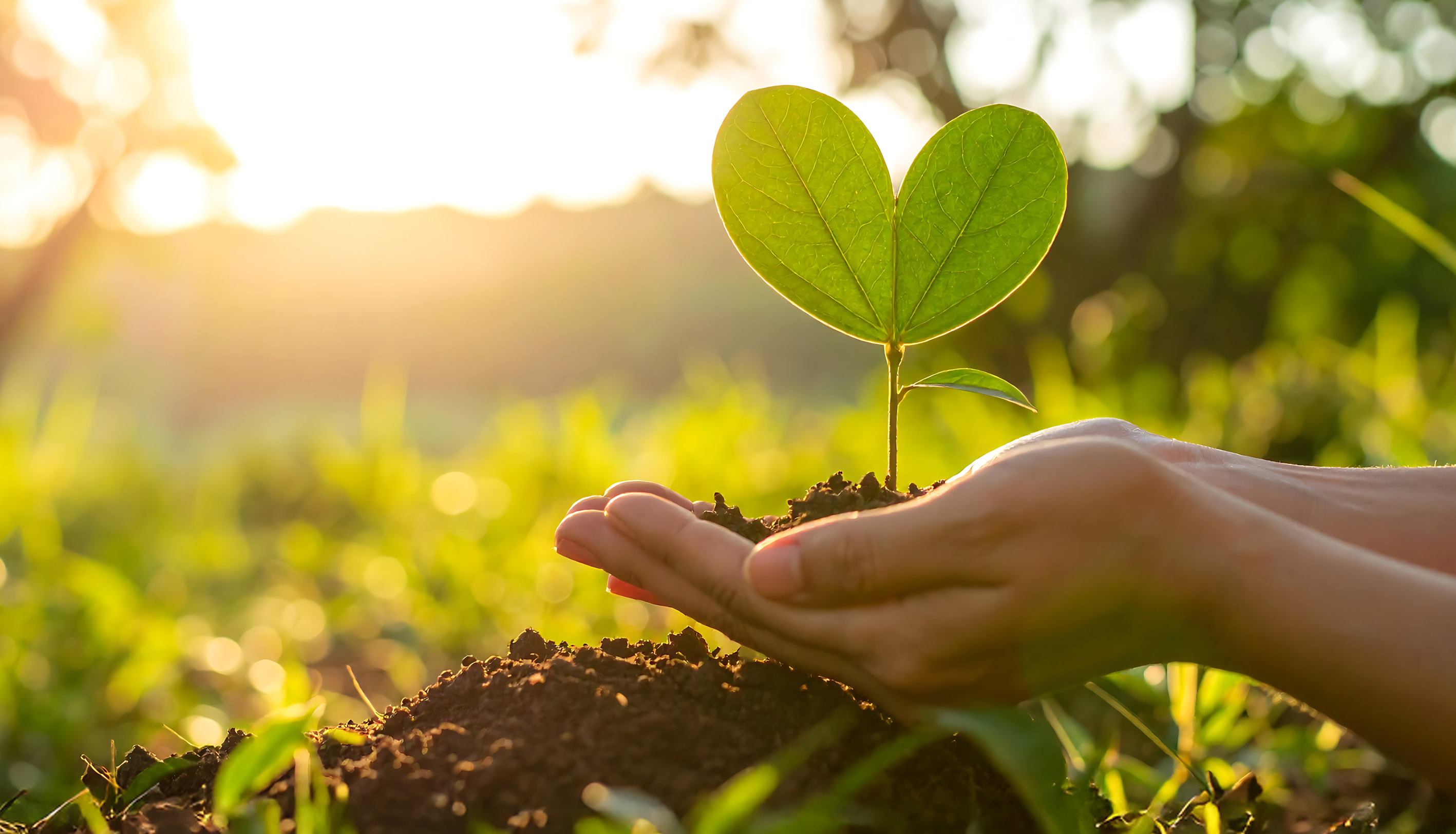 We proudly present our first Sustainability Report 2024/2025