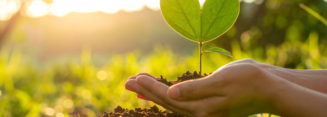 Met trots presenteren wij ons eerste duurzaamheidsverslag 2024/2025