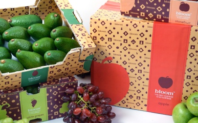 Met trots presenteren wij ons vernieuwde merk Bloom