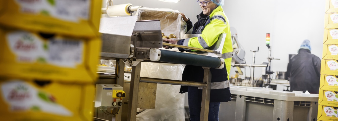 Open job application