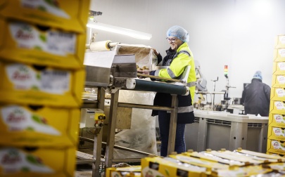 Open job application